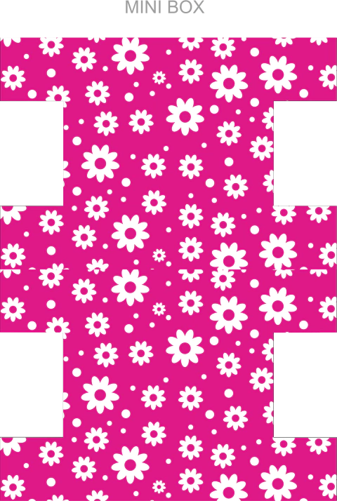 Mini Necessaire Box MNB42