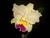 KIT COM 5 MUDAS DE ORQUÍDEAS CATTLEYAS - loja online