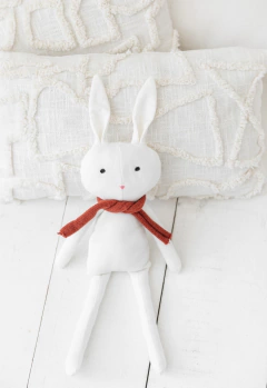 Imagem do Coelho Zara