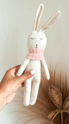 Coelhinho Sleep na internet