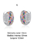 Trio de argolinhas de Click largas em Prata 925 legítima cravejadas com 5 fileiras de zircônias coloridas - D'argento Joias Prata 925