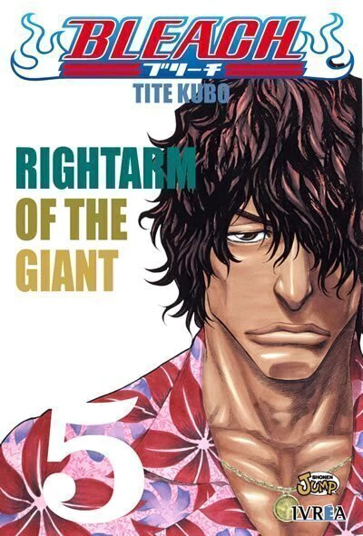 Bleach - 05 - comprar online