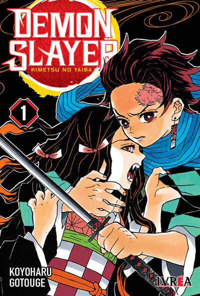 Demon Slayer: Kimetsu no Yaiba - 01