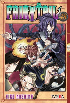 Fairy Tail - 48