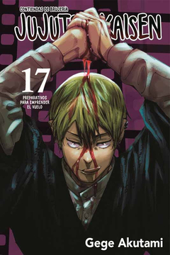 Jujutsu Kaisen - 17