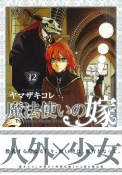 The Ancient Magus' Bride - Vol.12 Edición Limitada (Japonés) - buy online