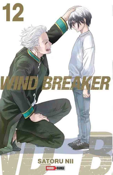 Wind Breaker - 12