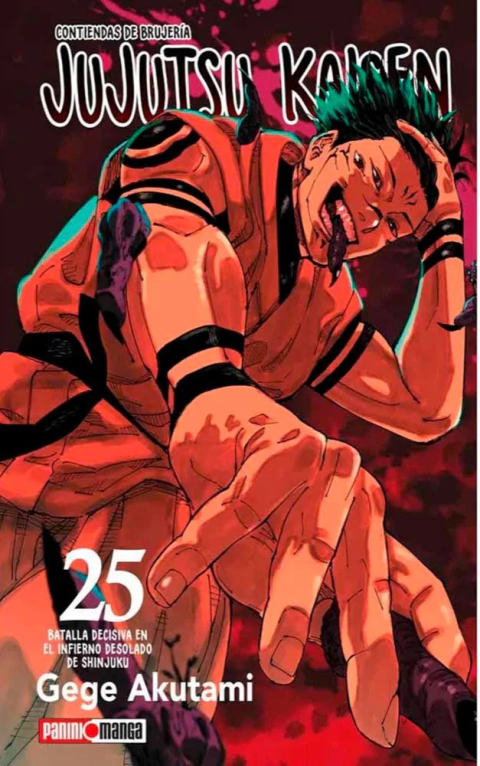 Jujutsu Kaisen - 25