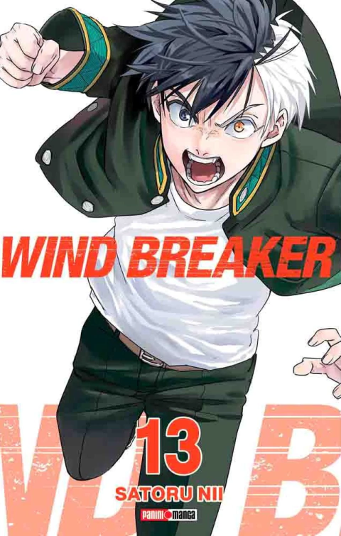 Wind Breaker - 13