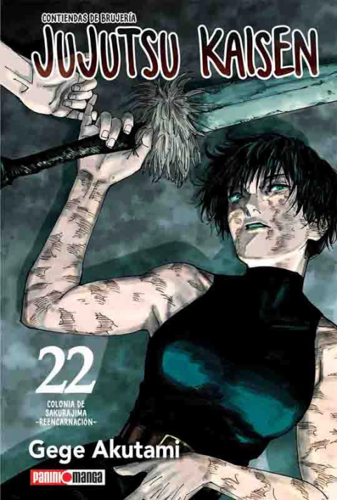 Jujutsu Kaisen - 22
