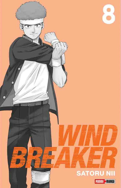 Wind Breaker - 08