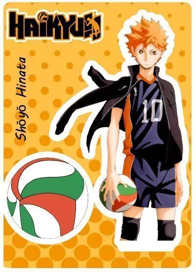 Acrilico coleccionable - Haikyu!! - Shoyo Hinata