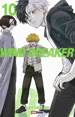Wind Breaker - 10