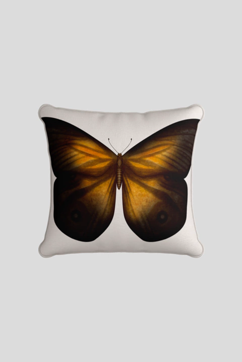 CAPA DE ALMOFADA BORBOLETA MULTICOLOR