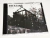 CD BURZUM - Aske (Importado)