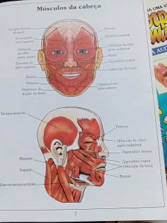 Imagem do Atlas do Corpo Humano
