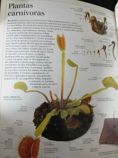 Plantas - Série Atlas Visual - Sebo Raridades