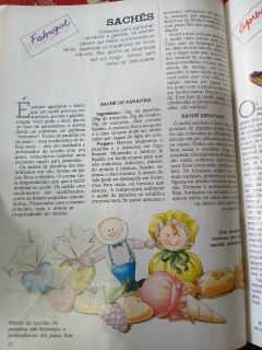 Livro Vida Um Guia De Auto Suficiência