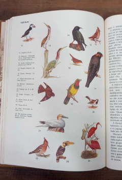 Enciclopédia do Estudante Ilustrada - 10 Volumes na internet