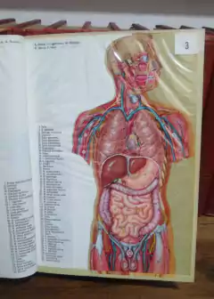 Enciclopédia Barsa - Completa (1966) - loja online