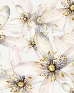 Vela Aromática Flor da Sicília - 300g - Vidro Incolor Com Tampa - comprar online