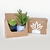 Set Magnetas (2un.) - comprar online