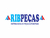 ConexA RAida Superior Radiador Fox Space Fox Polo 1.8 2.0 - 1J0122291F;
