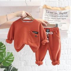 Moletom + Calças 2 pçs conjunto moda traje bebê meninos de algodão sólido 9 meses á 5 anos na internet
