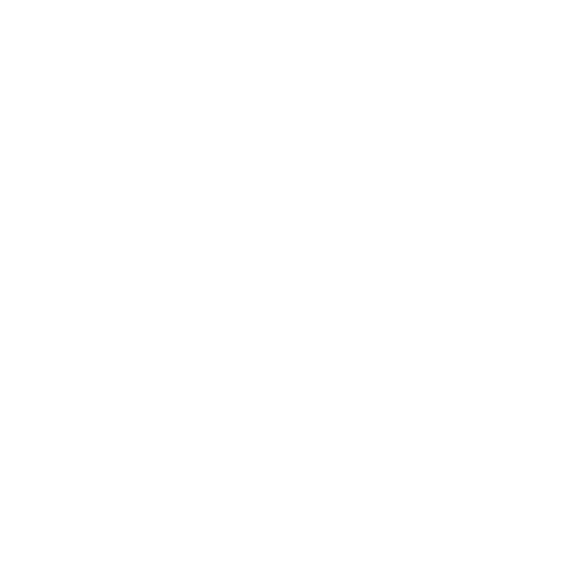 L Ü M E