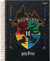 Caderno universitáro 96F 1 matérias Harry Potter