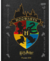 Planner Harry Potter Jandaia