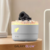 Imagen de GALAXYGLOW™ | Humidificador Cannon