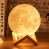 Luminária Lua Cheia