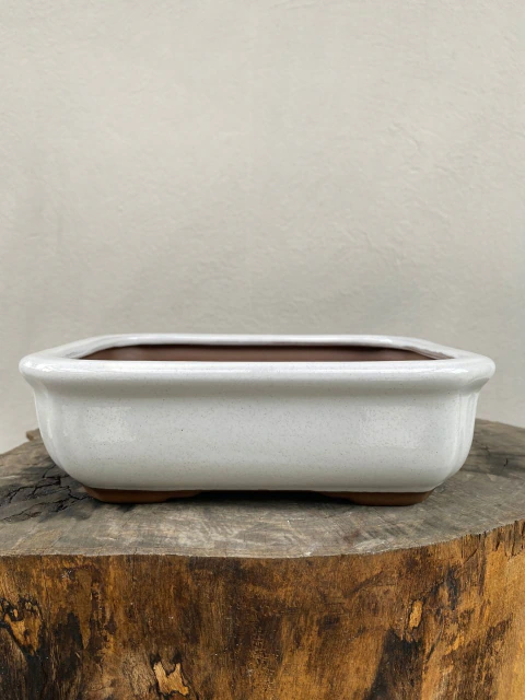 Vaso Literato Bege retangular em cerâmica com dimensões de 19x15x5 cm, ideal para bonsai.
