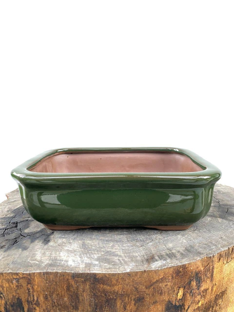 Vaso Literato Bege retangular em cerâmica com dimensões de 19x15x5 cm, ideal para bonsai.