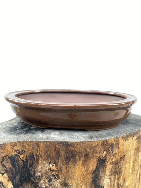 Vaso de bonsai, oval, com dimensões de 34x24,5x7cm.