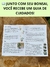 Imagem de um guia de cuidados para o Bonsai Buxus Harlandii, com informações sobre ambiente, rega, adubação e pragas.