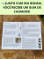 Imagem de um guia de cuidados para o Bonsai Buxus Harlandii, com informações sobre ambiente, rega, adubação e pragas.