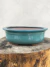 Vaso Bonsai Literato 24,5x18,5x8 cm