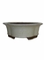 Vaso Bonsai Literato 20x18,5x6 cm