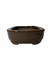 Vaso Bonsai Literato 15x11,5x4 cm