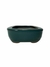 Vaso Bonsai Literato 15x11,5x4 cm