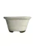 Vaso de bonsai