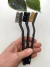 Kit de três escovas para limpeza de bonsai com cabos pretos e cerdas de metal, nylon e latão seguradas por uma mão.