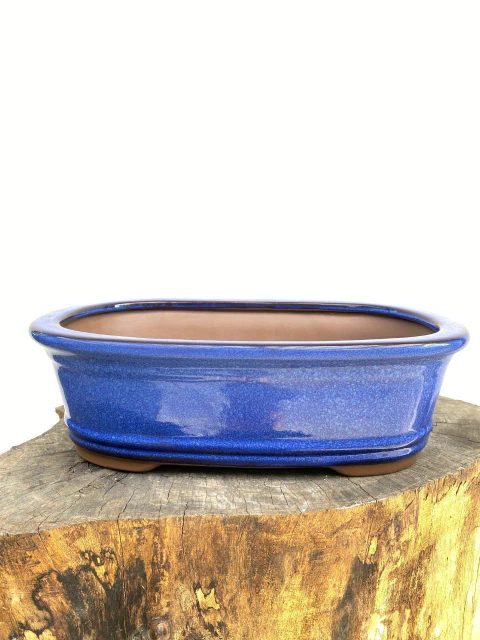 Vaso Bonsai Literato 29x20x8,5 cm