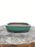 Vaso Bonsai Literato 15x11,5x4 cm