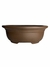Vaso Bonsai Literato 21x16x7,5 cm