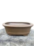 Vaso Bonsai Literato 20x14,5x7 cm