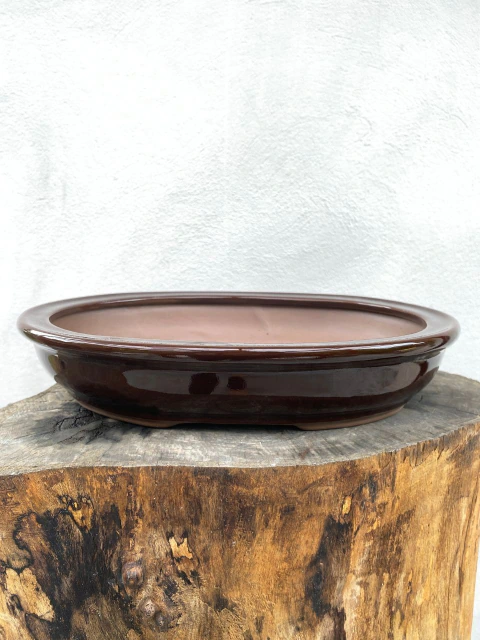 Vaso de bonsai, oval, com dimensões de 34x24,5x7cm.