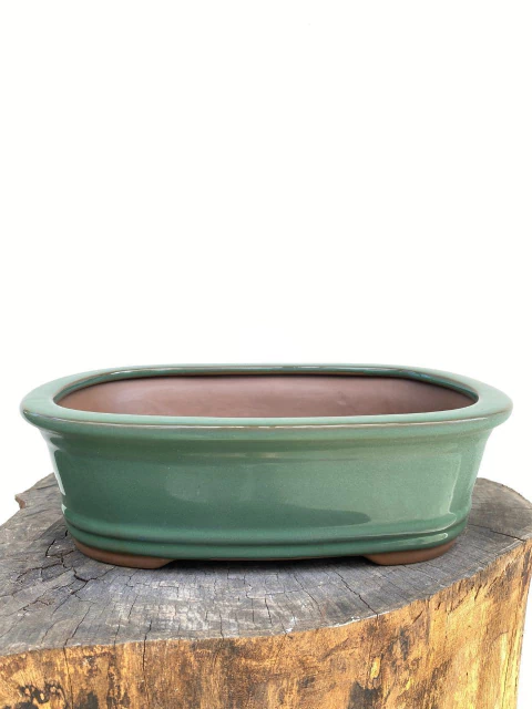 Vaso Bonsai Literato 29x20x8,5 cm